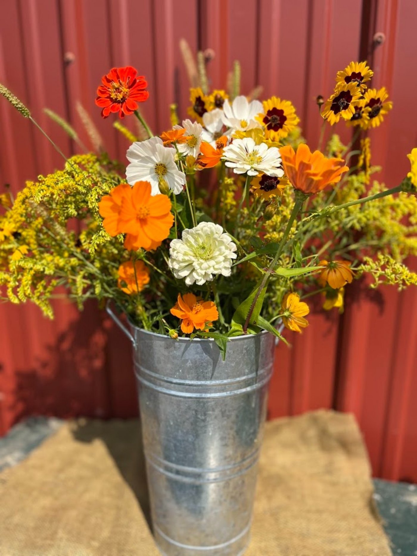 Cut Your Own Flowers at Pioneer Trails Tree Farm, 30 August | Event in Lowellville | AllEvents