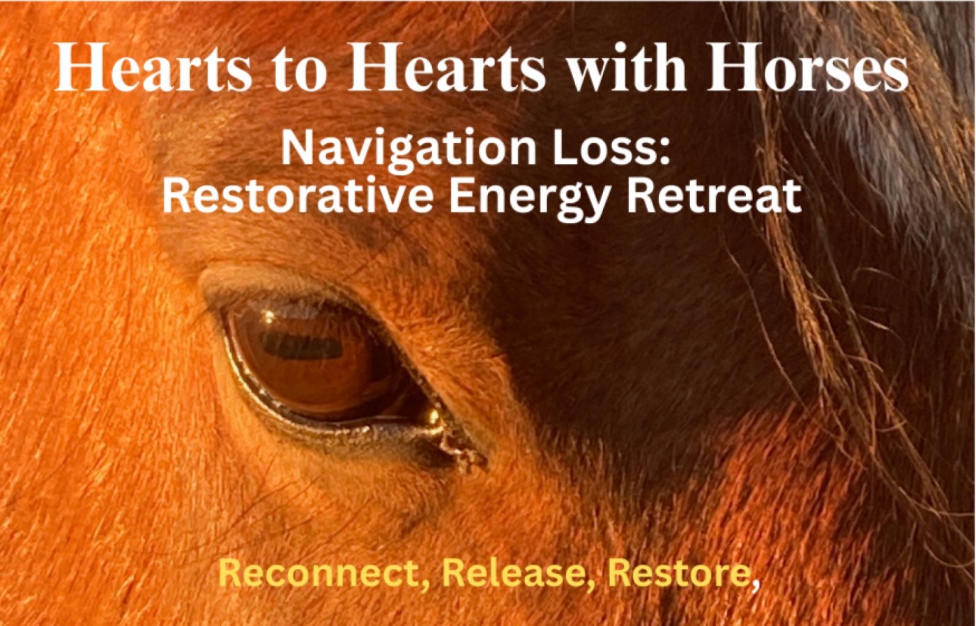 Navigating Loss: Restorative Energy Retreat, 14 September | Event in Santa Rosa | AllEvents