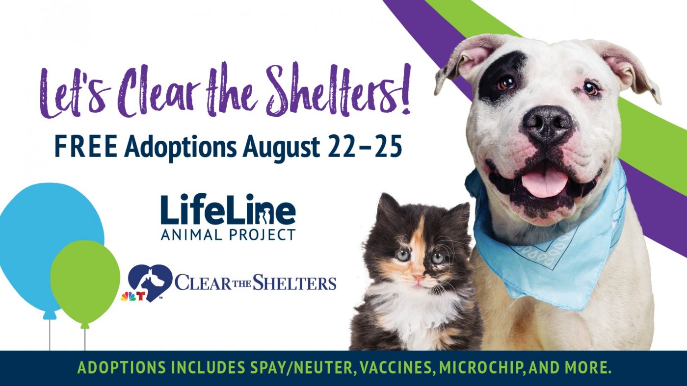 Clear the Shelters Free Adoption Weekend, 22 August | Event in Tucker | AllEvents
