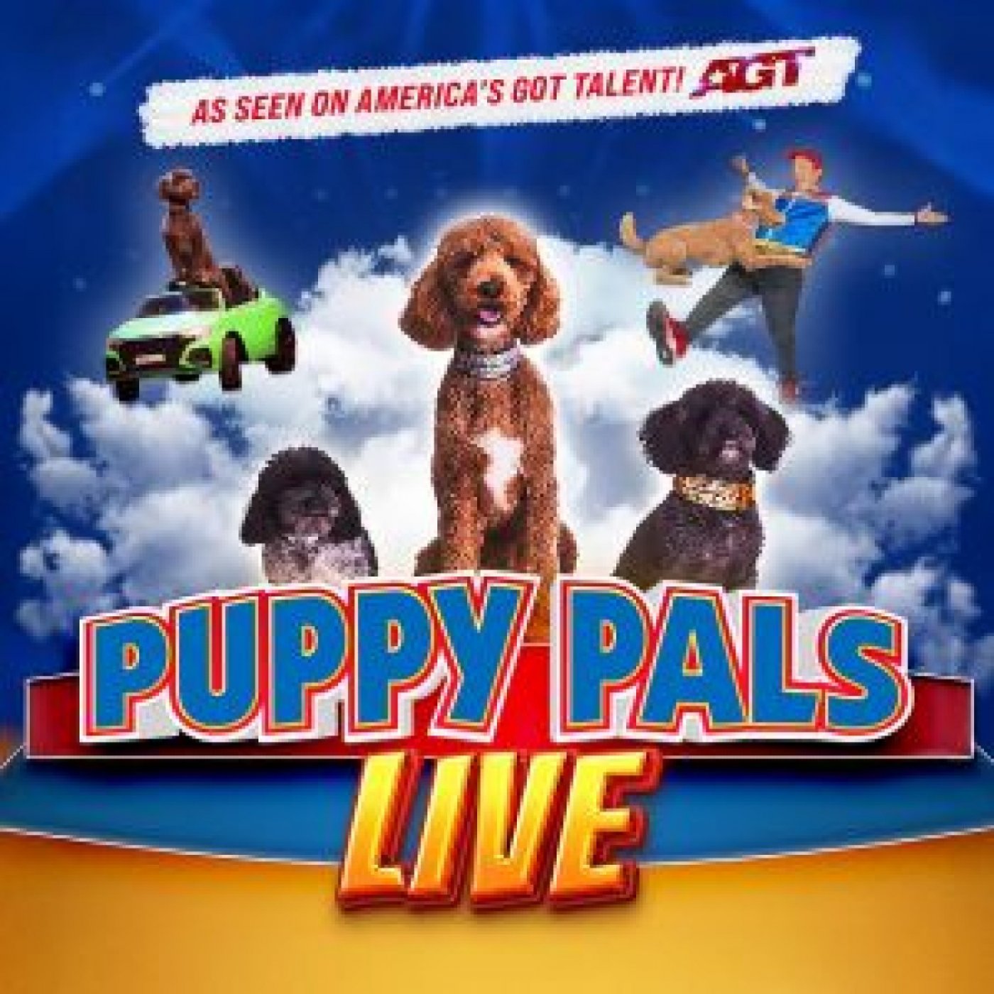 Puppy Pals LIVE, 3 October | Event in West Chester | AllEvents