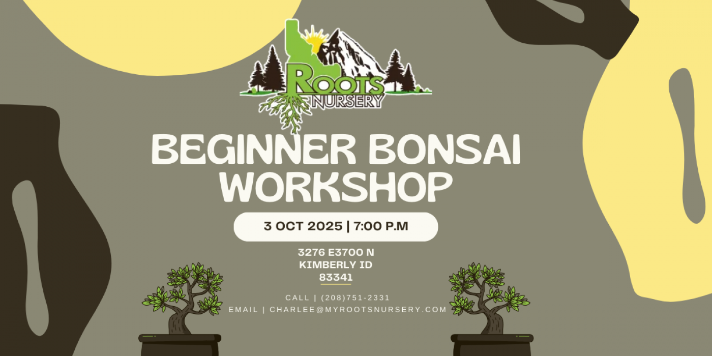 Beginner Bonsai Workshop, 3 October | Event in Kimberly | AllEvents