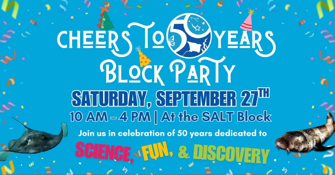 Cheers to 50 Years Block Party, 21 August | Event in Hickory | AllEvents
