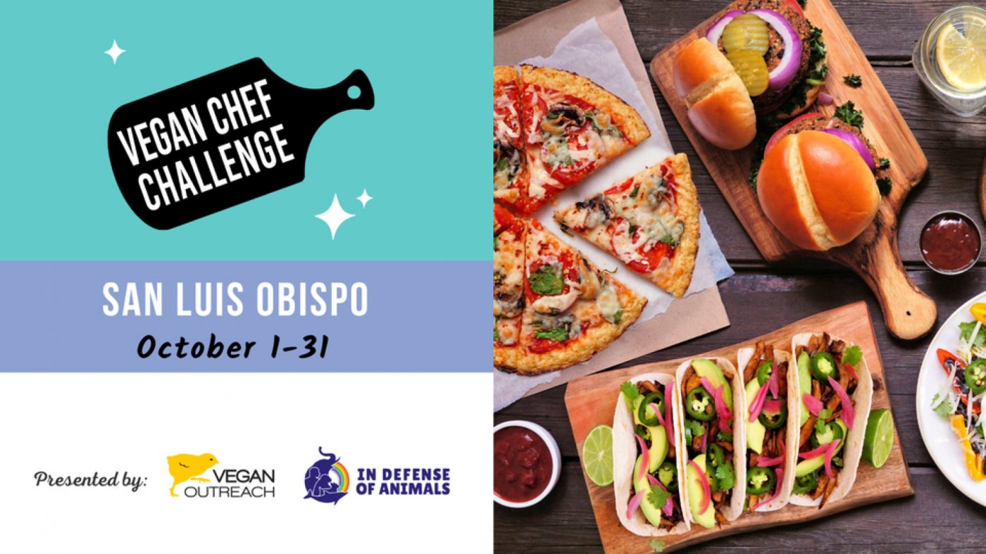 San Luis Obispo Vegan Chef Challenge | Event in San Luis Obispo | AllEvents