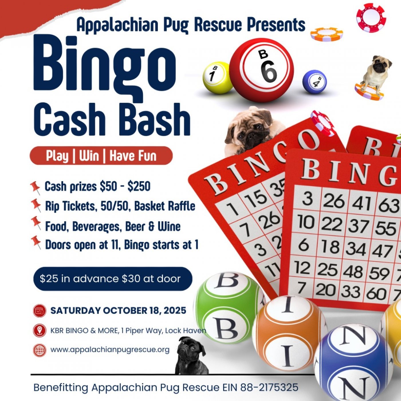 Cash Bash Bingo to Benefit Appalachian Pug Rescue, 18 October | Event in Lock Haven | AllEvents