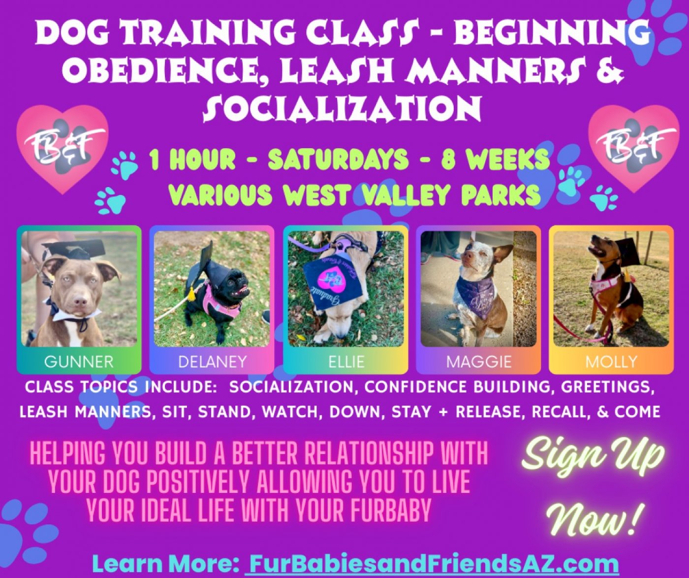 Dog Training Beginner Obedience and Leash Manners Group Class - 8 Weeks - $350, 27 September | Event in Peoria