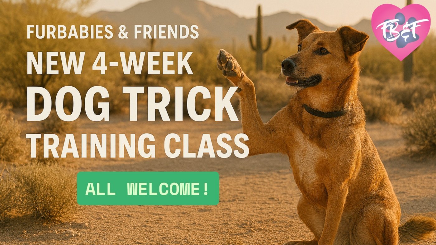 Dog Training Group Class for Beginner Dog Tricks - 4 Weeks - $150, 27 September | Event in Glendale | AllEvents
