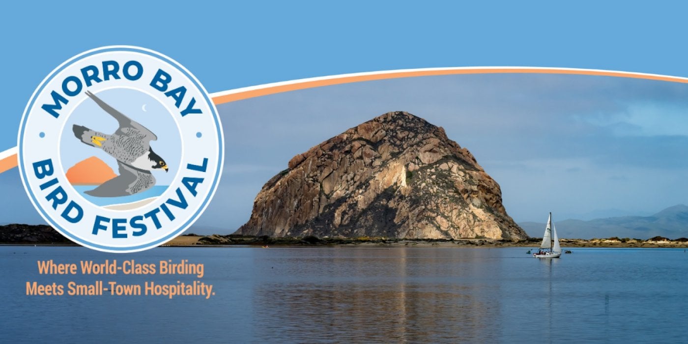 Morro Bay Bird Festival