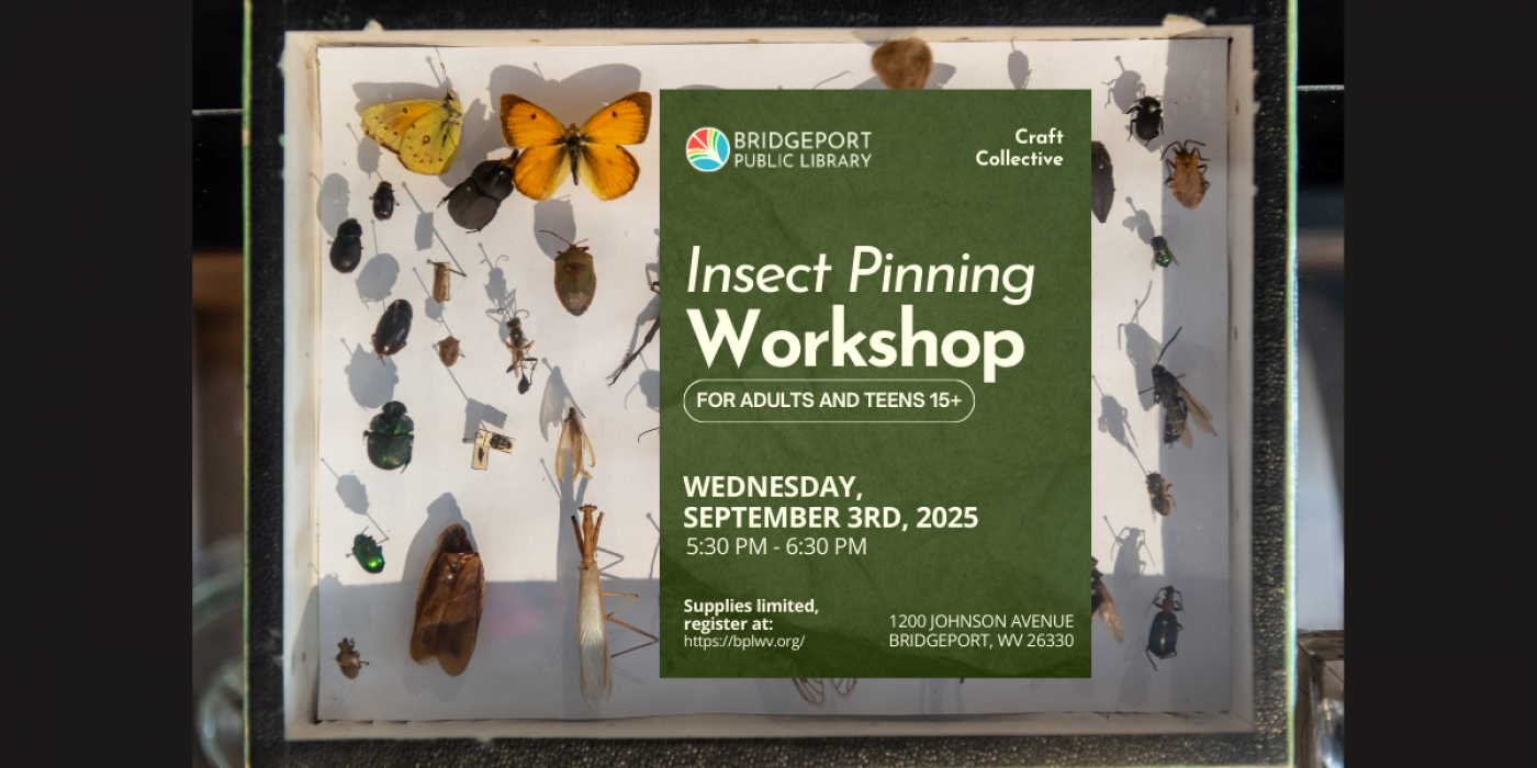 Insect Pinning Workshop, 3 September | Event in Bridgeport | AllEvents