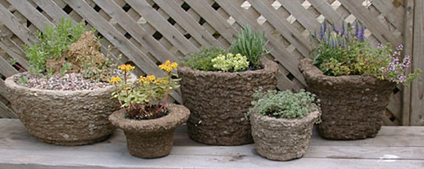 Making Your Own Hypertufa Planter, 9 September | Event in Florence | AllEvents