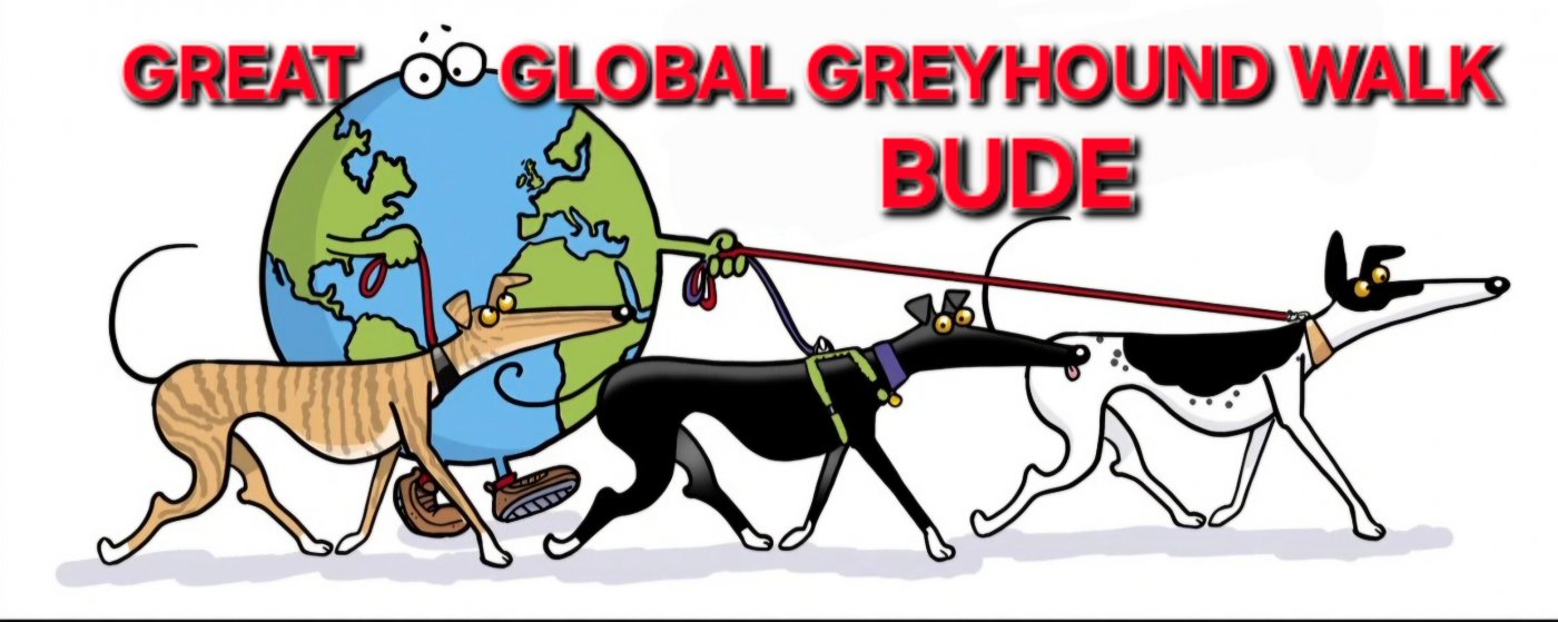 The Great Global Greyhound Walk Bude , 28 September | Event in Bude | AllEvents