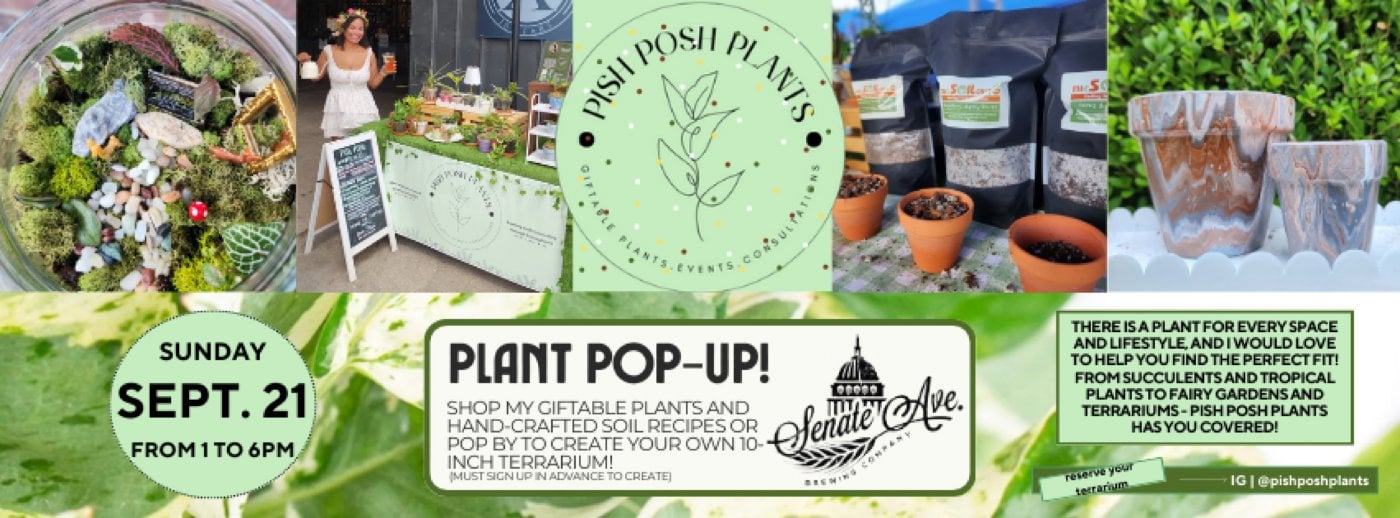 Create your own Terrarium ?✨️, 21 September | Event in Jersey Village | AllEvents