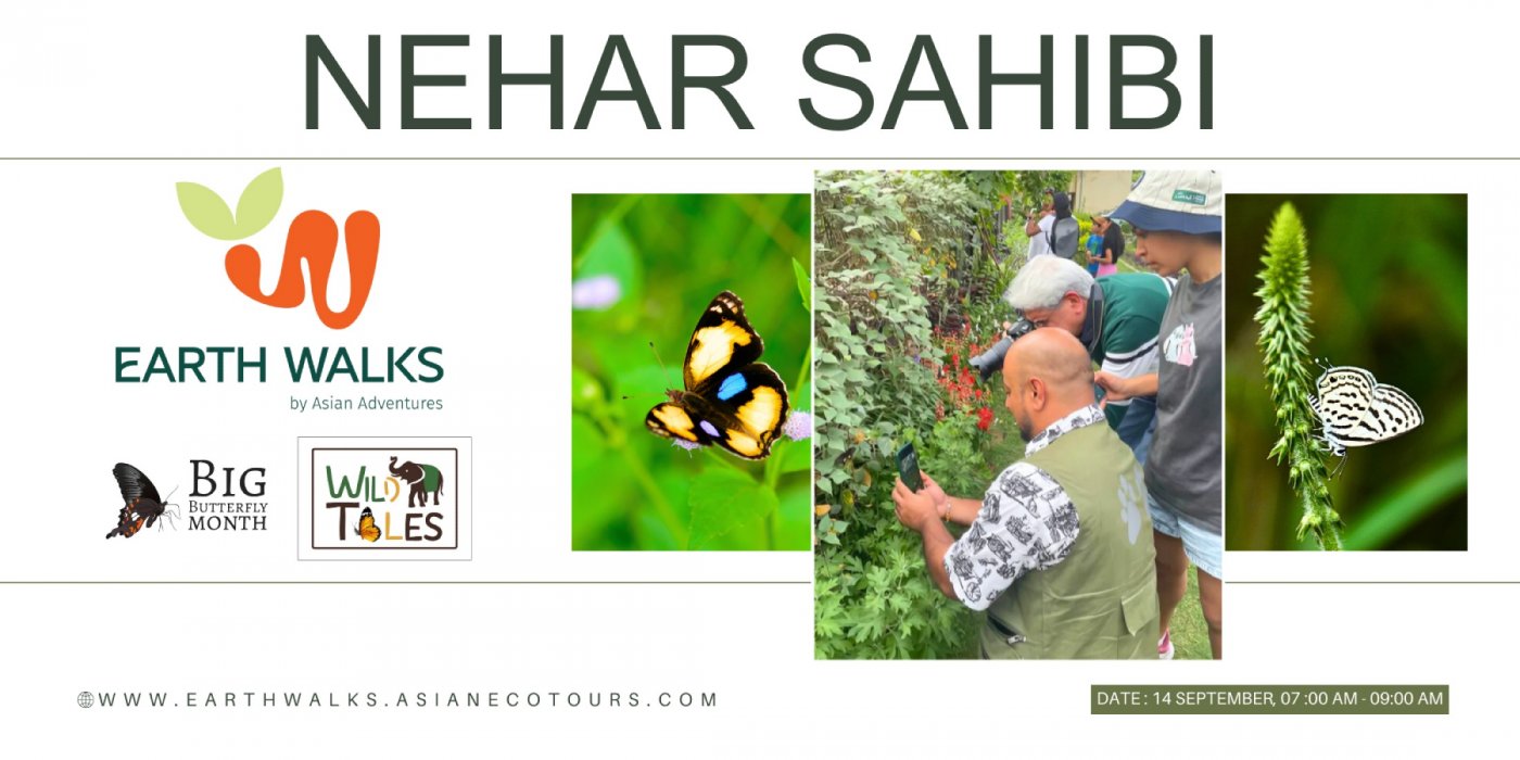 Butterfly Bliss: A Nehar Sahibi Experience, 14 September | Event in Gurgaon | AllEvents