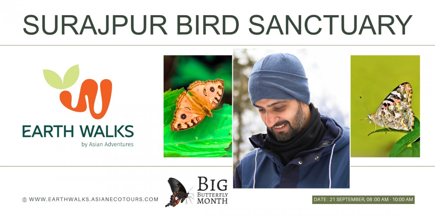 Fluttering into Fall: A Butterfly Walk, 21 September | Event in Greater Noida | AllEvents