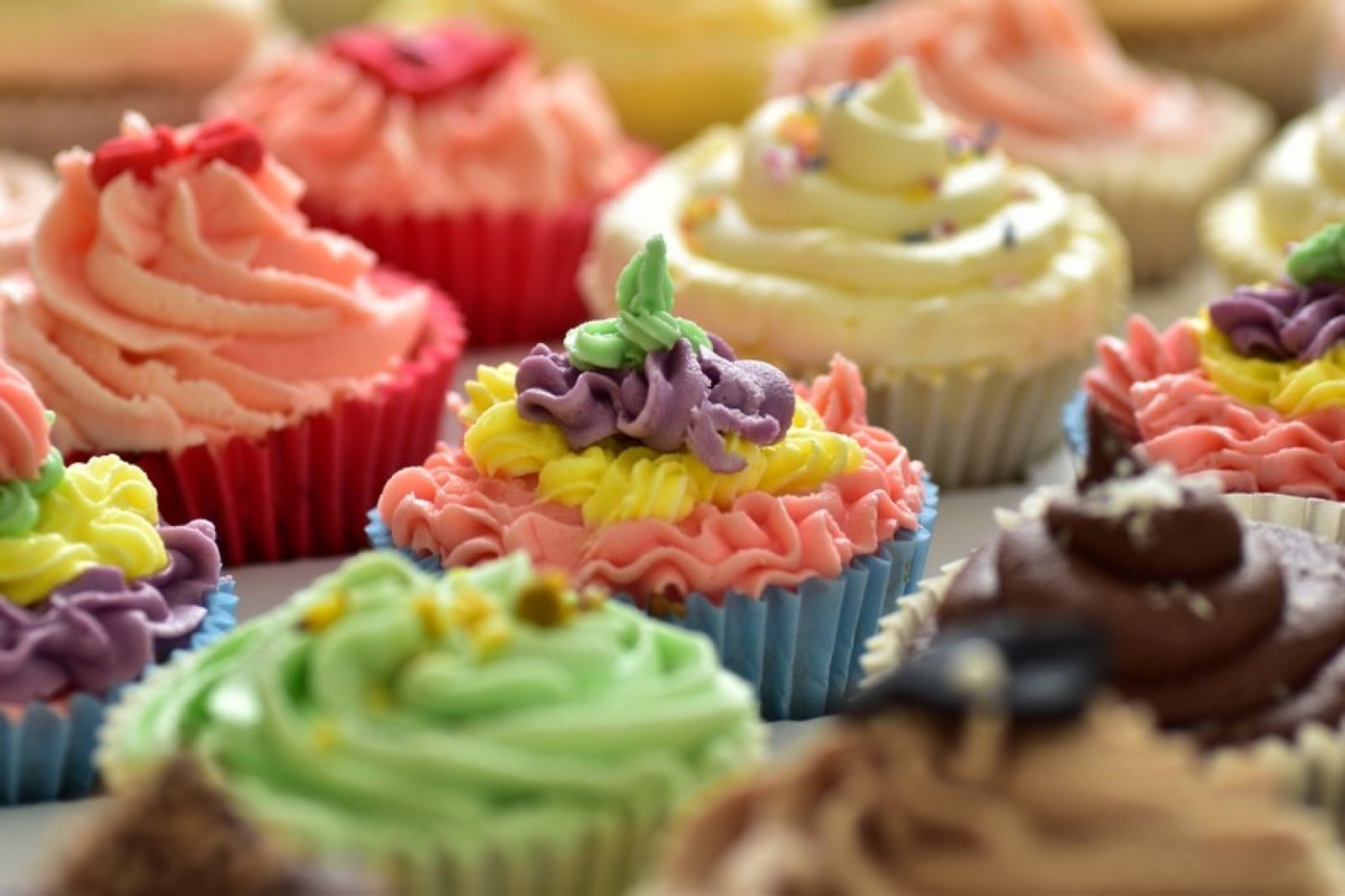 Northern (Manchester) Vegan Winter Fesitval