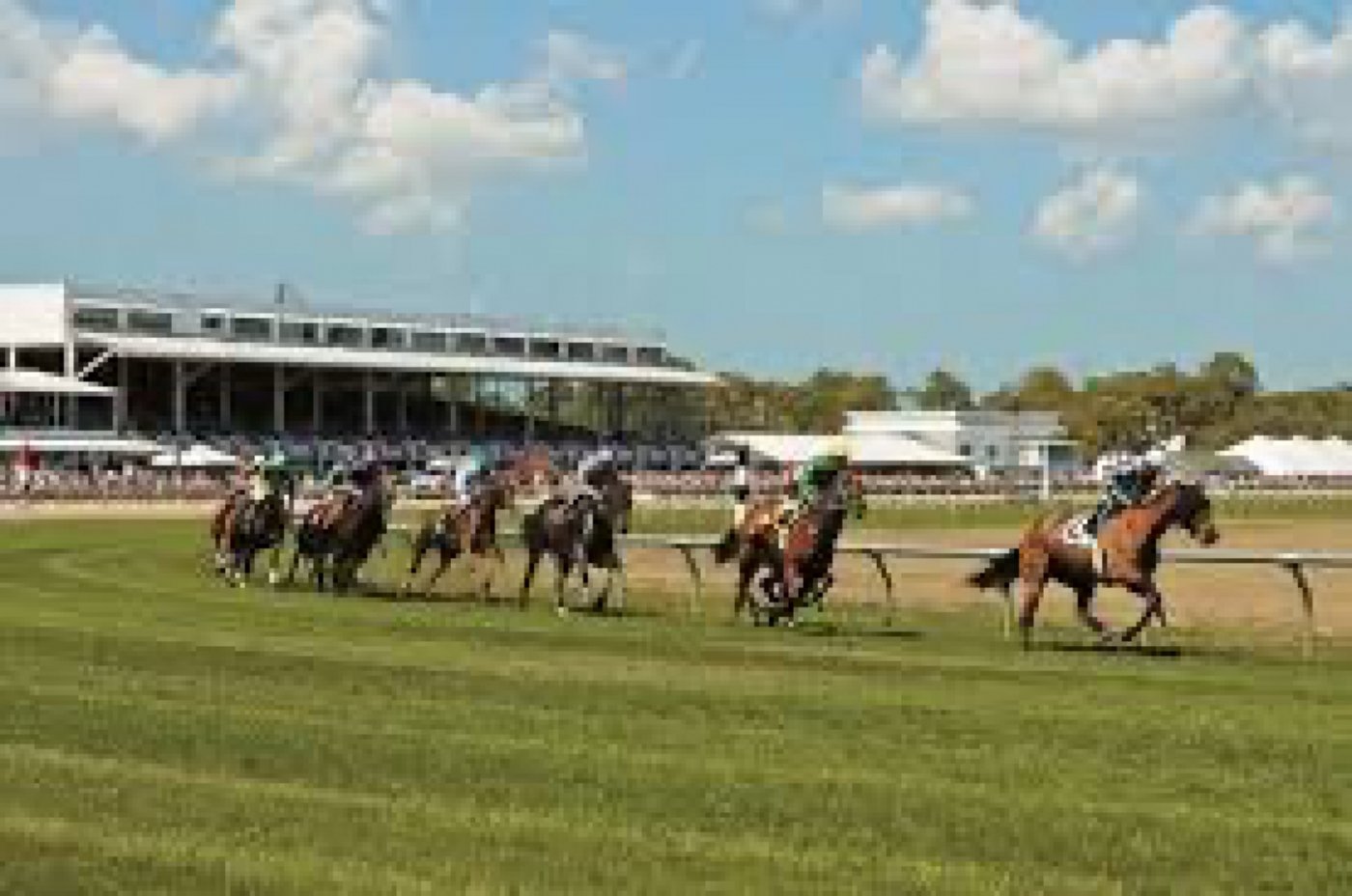 Opening Day at the Downs | Event in Tampa | AllEvents
