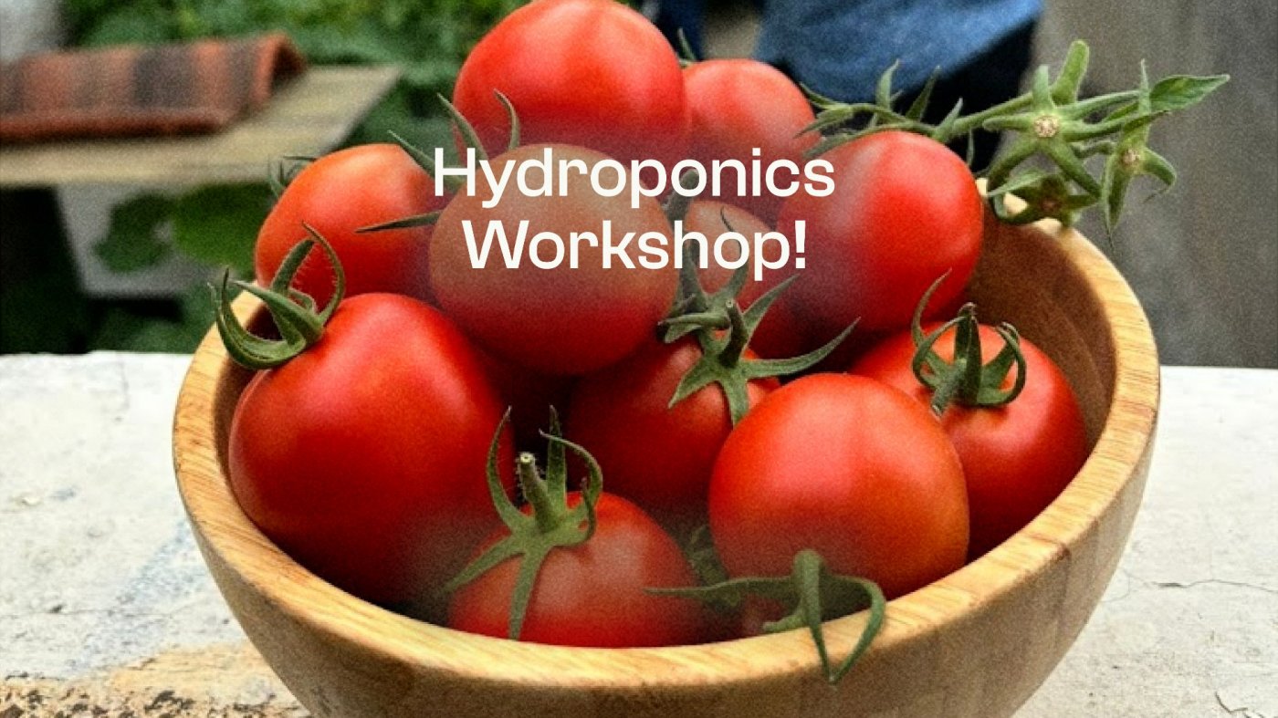 UrbanGro Hydroponics 101 | Event in Bangalore | AllEvents
