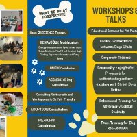 DOGSPECTIVE BY NIDHI logo