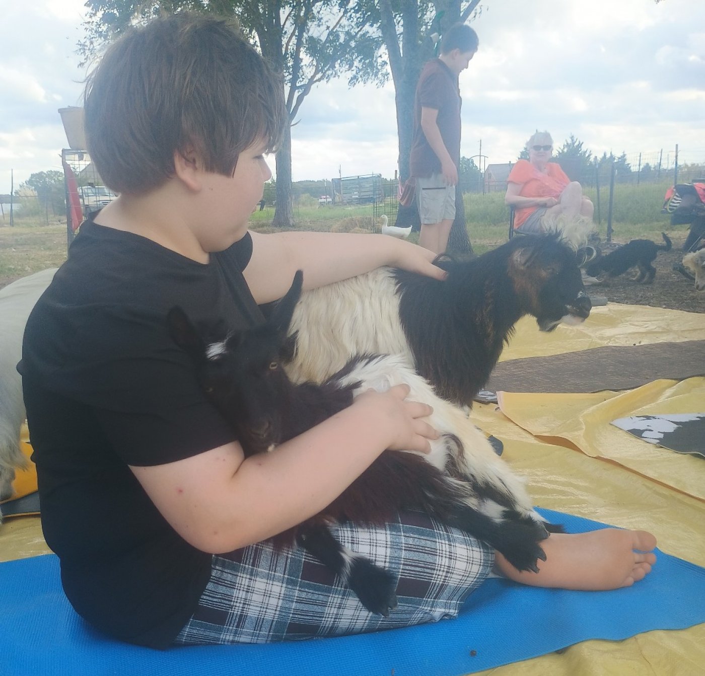 Goat Yoga Class Outside at BarnHill Vineyards in Anna - bring your own mat