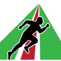 Physical Evolution logo