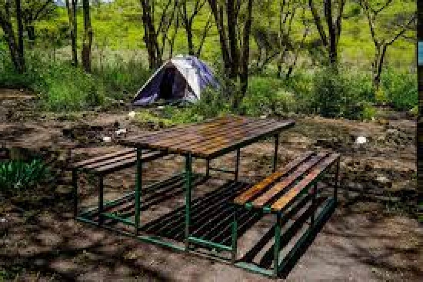 Off Grid: The Wild Reset | Camping Experience, 29 November | Event in Nairobi | AllEvents
