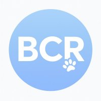 BCR Creative Relations logo