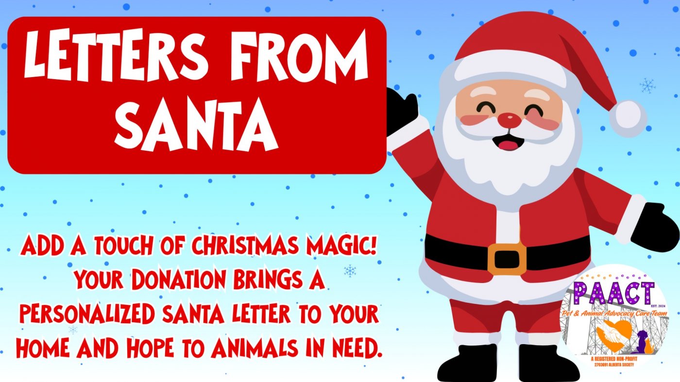 Letters From Santa For Animals In Need! By PAACT | Event in Lethbridge | AllEvents