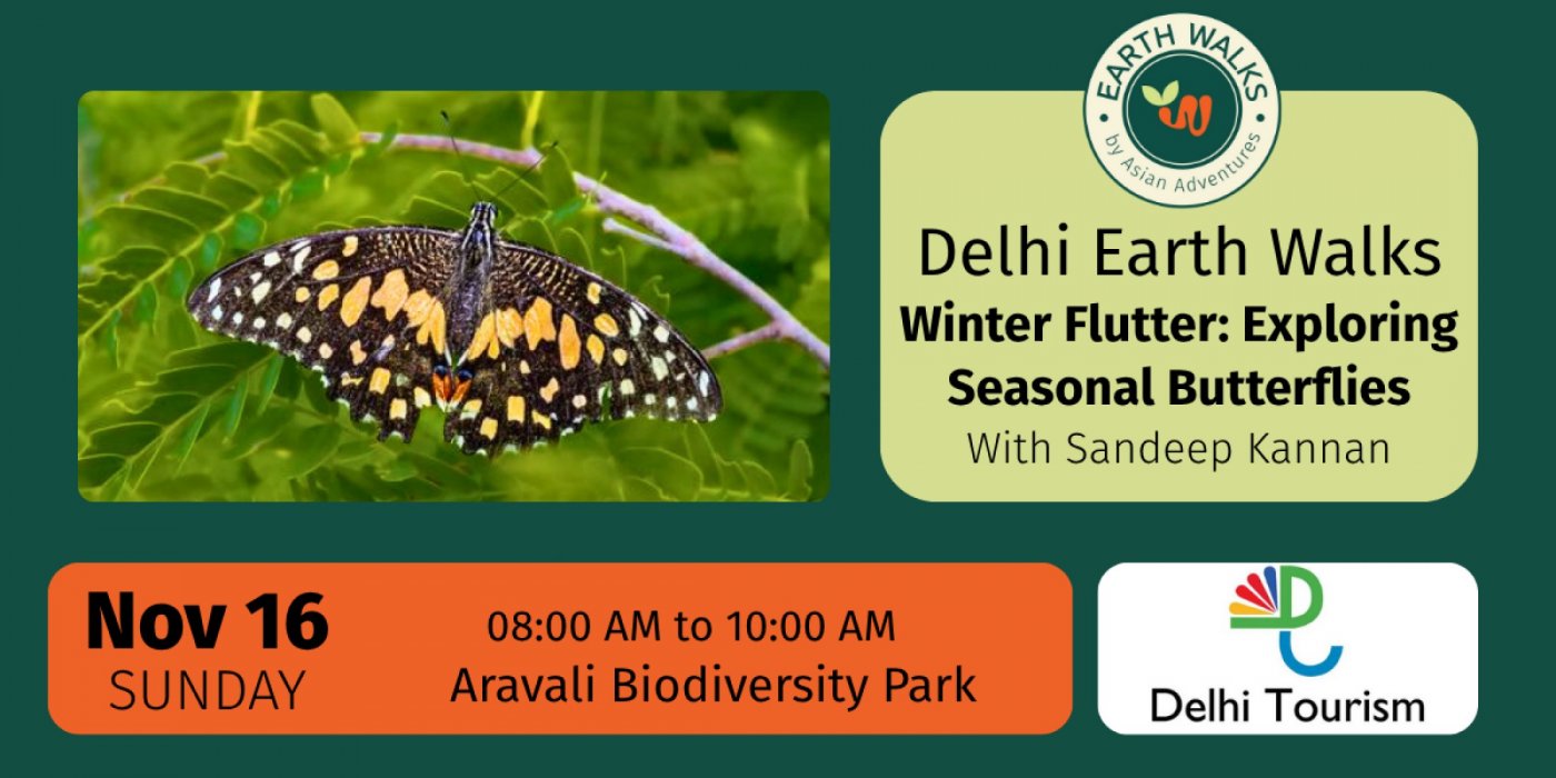 Winter Flutter: Exploring Seasonal Butterflies at Aravali Biodiversity Park | Event in New Delhi | AllEvents
