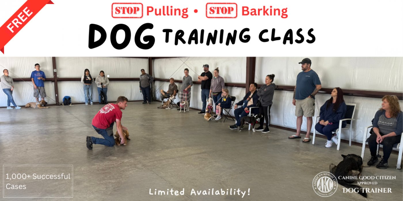 FREE Dog Training Class, 22 November | Event in Plant City | AllEvents