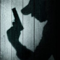 Dark Stories True Crime Tours logo