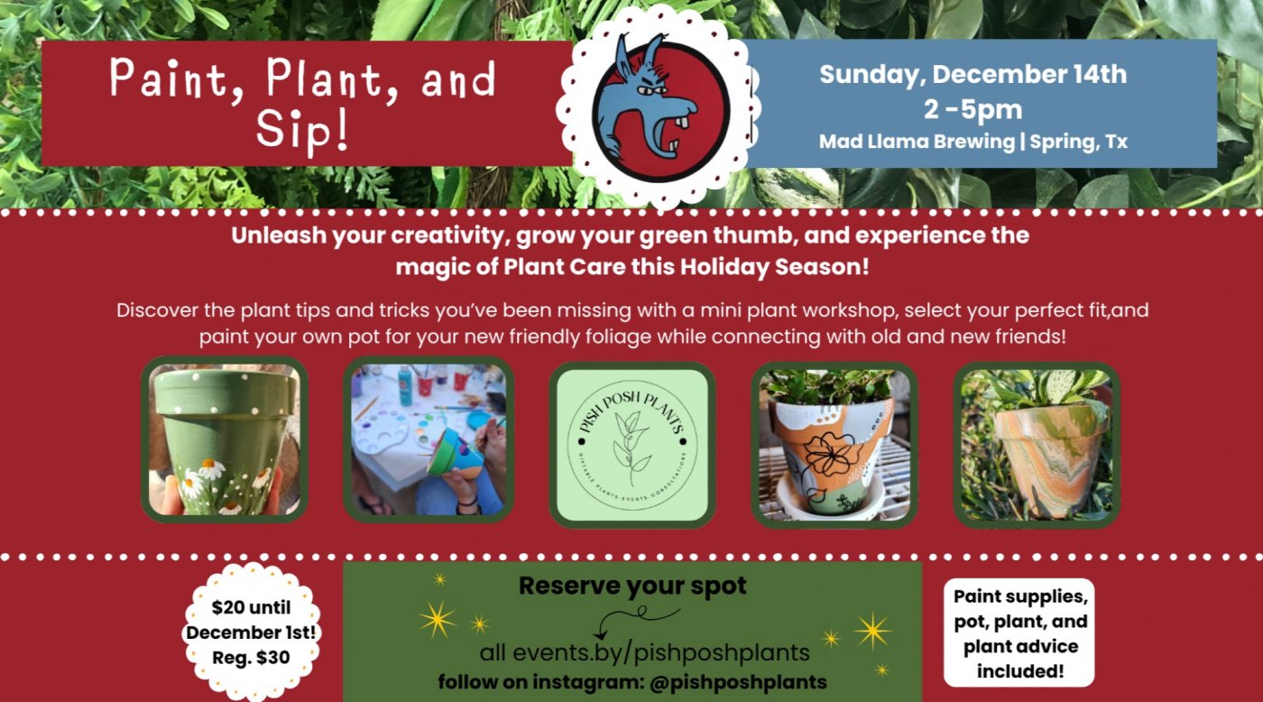 Paint, Plant & Sip!, 14 December | Event in Spring | AllEvents