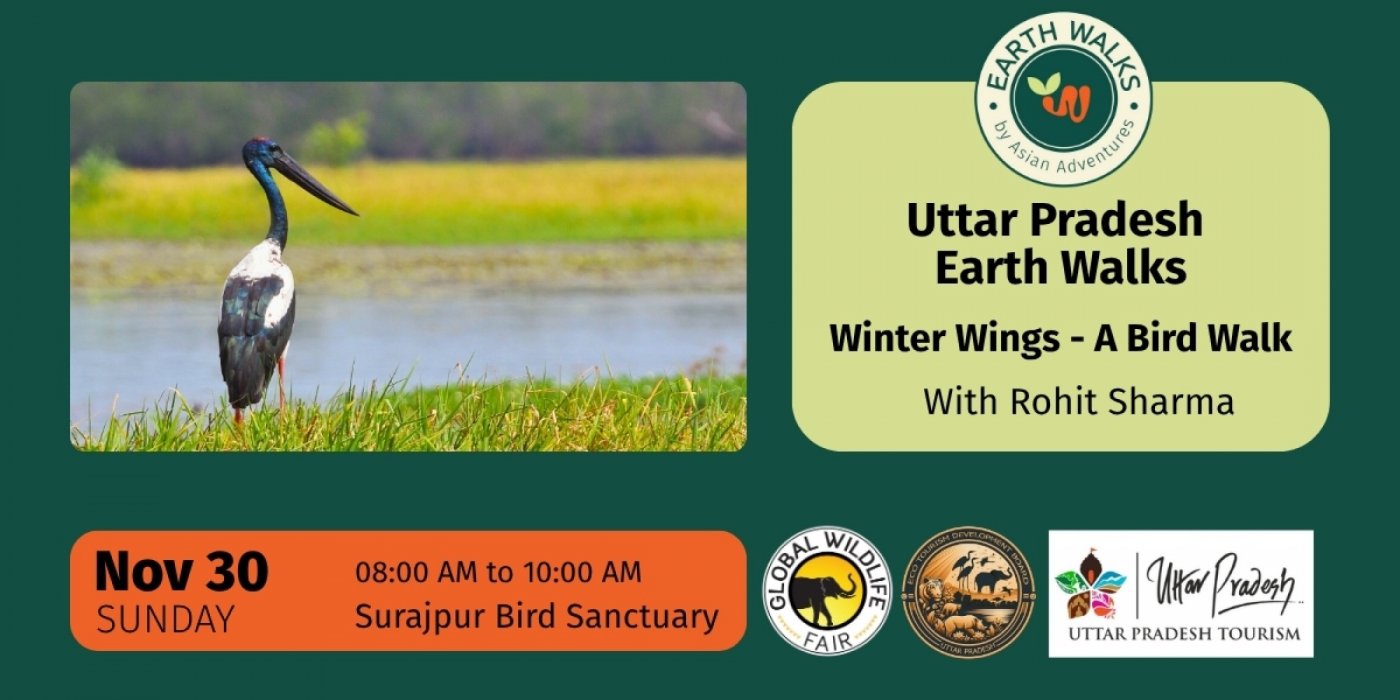 Winter Wings: Bird Walk at Surajpur, 30 November | Event in Greater Noida | AllEvents