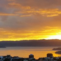 Hilltop House Concerts logo