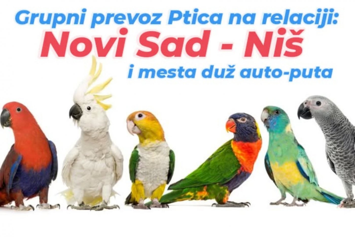 banner-image