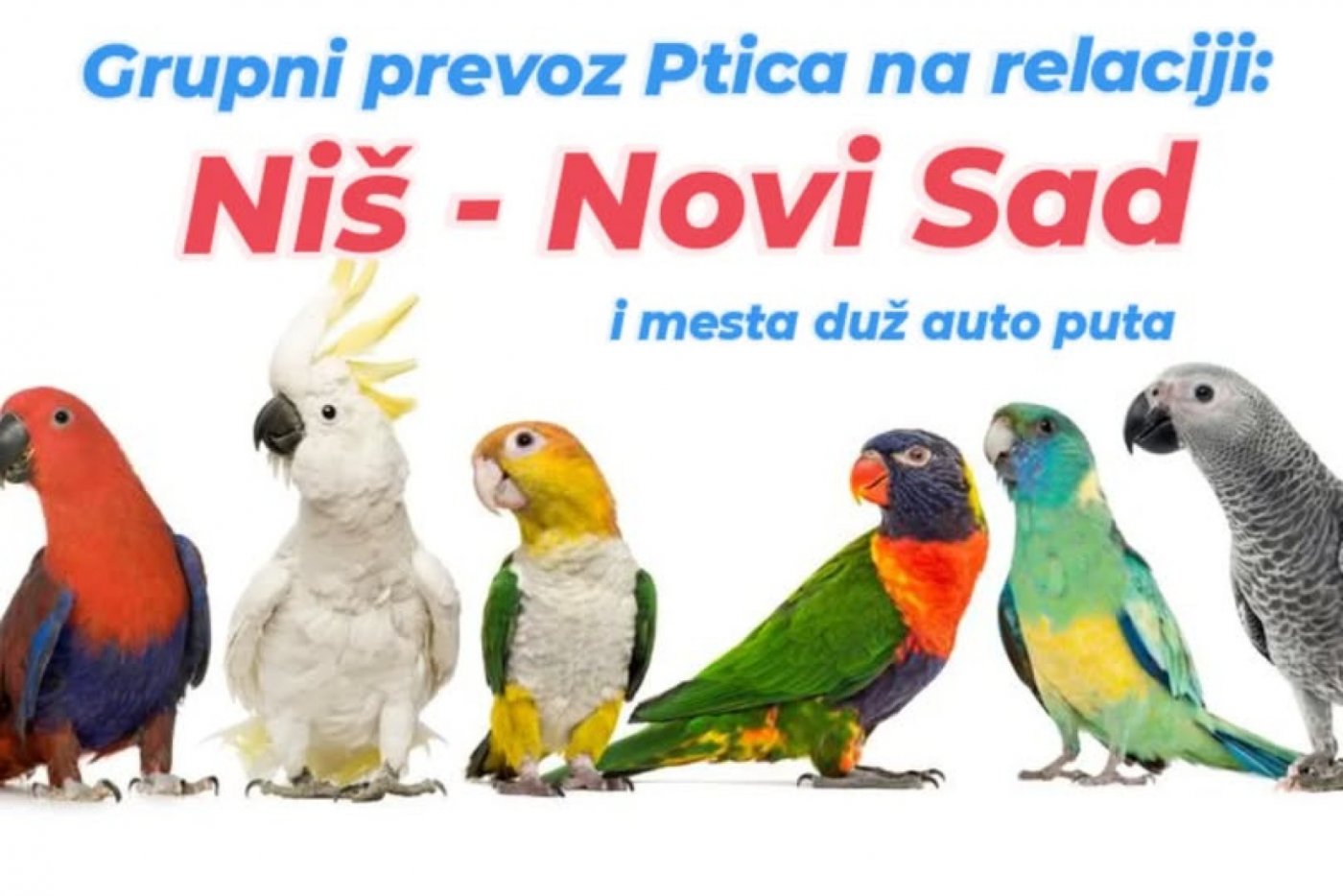 banner-image