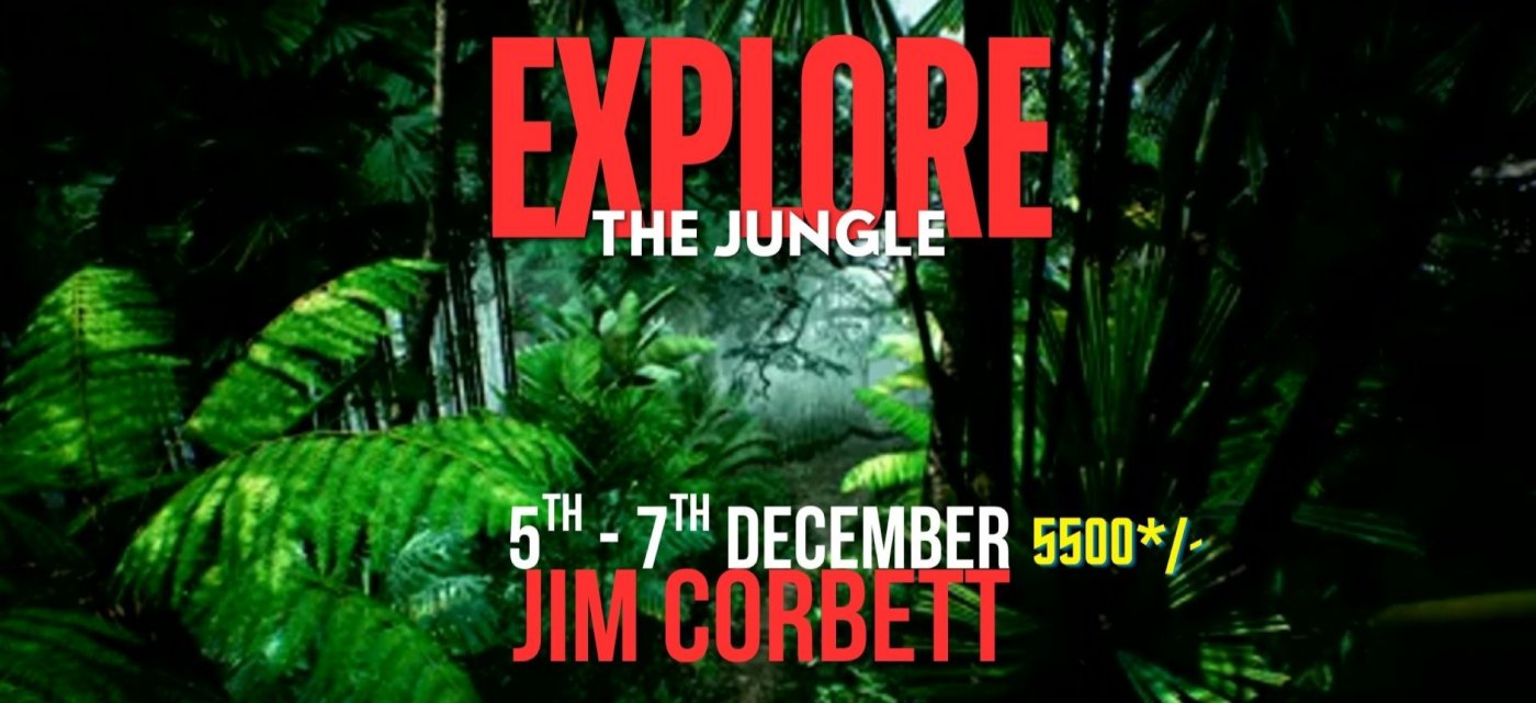 WEEKEND ADVENTURE: 2-Night Jim Corbett Safari Adventure (Dec 5th-7th) 5500* only, 5 December | Event in ram nagar, uttarakhand