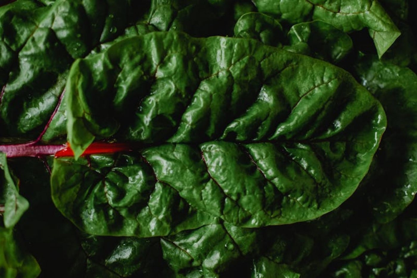 Whitstable Farmers' Market | Event in Whitstable | AllEvents