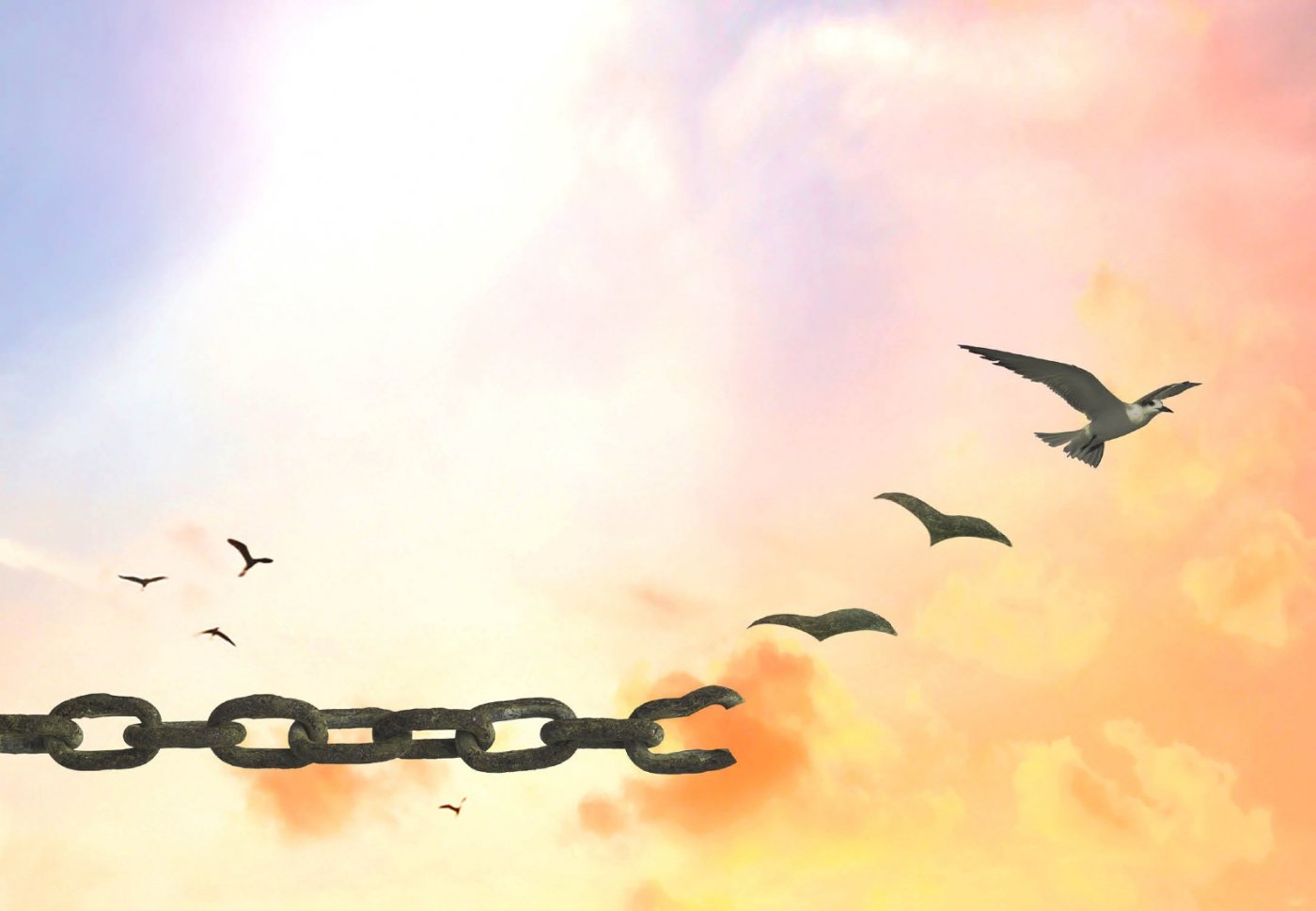 Australian Festival 2026 - Teachings on Transforming Adversity, 2 January | Event in Silvan | AllEvents