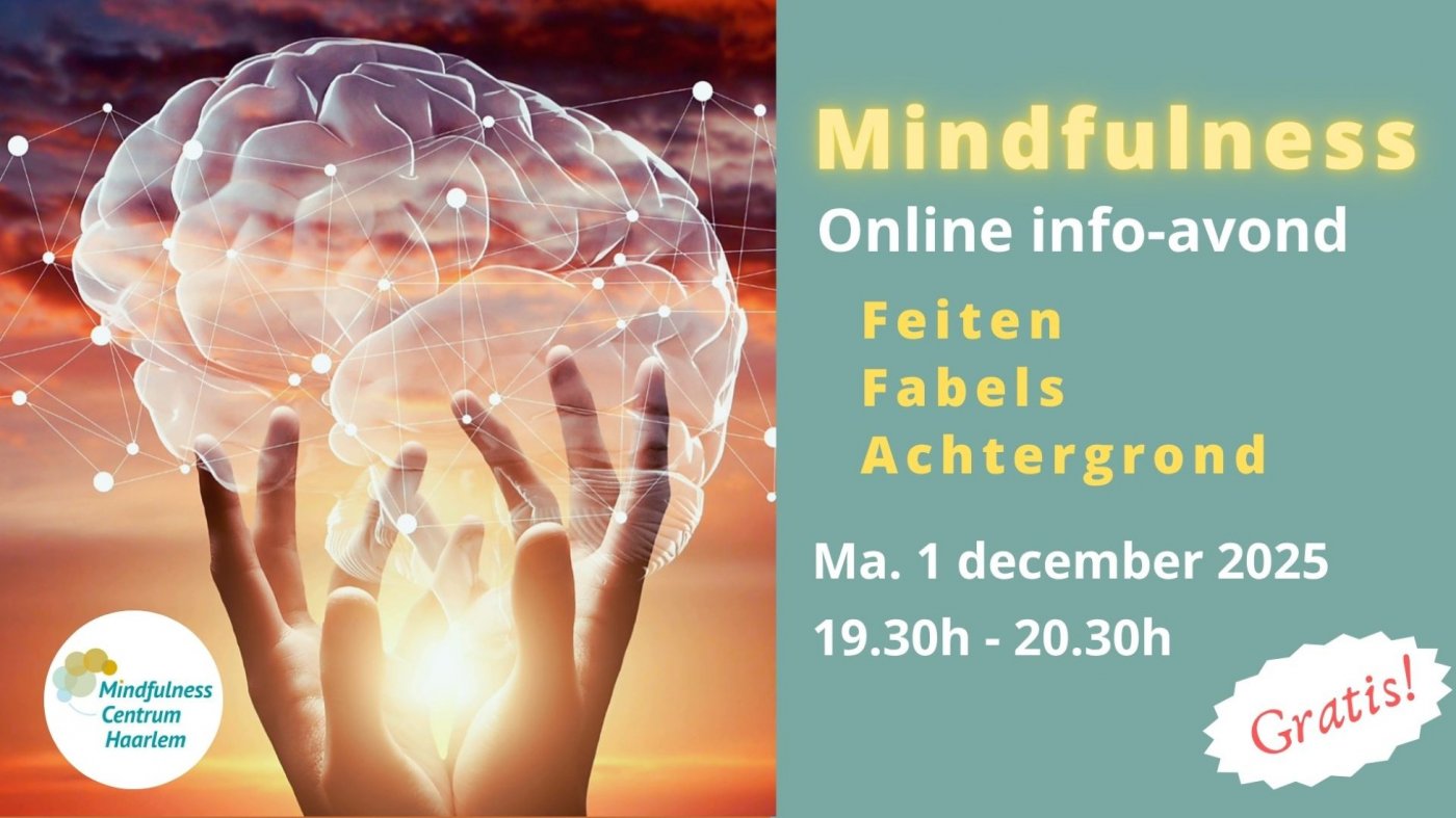 Online Informatieavond Mindfulness (gratis online live) ma. 1 dec. 19.30-20.30 uur, 1 December | Event in Haarlem