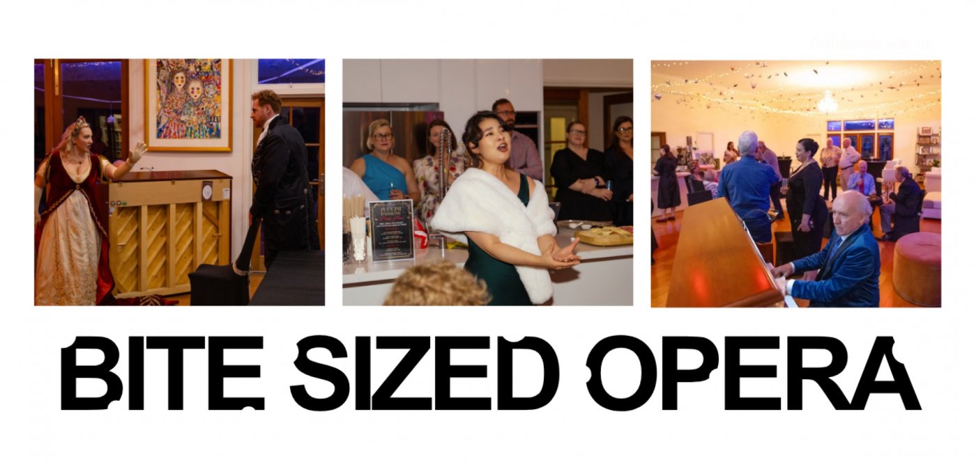 Bite Sized Opera, 18 January | Event in Chelmer | AllEvents
