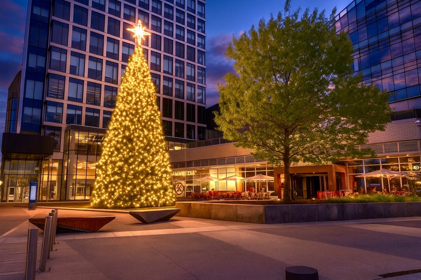 Boston Landing to Celebrate the Season with Holiday Tree Lighting, 3 December | Event in New Town | AllEvents