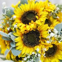 La Botanica Mi  logo