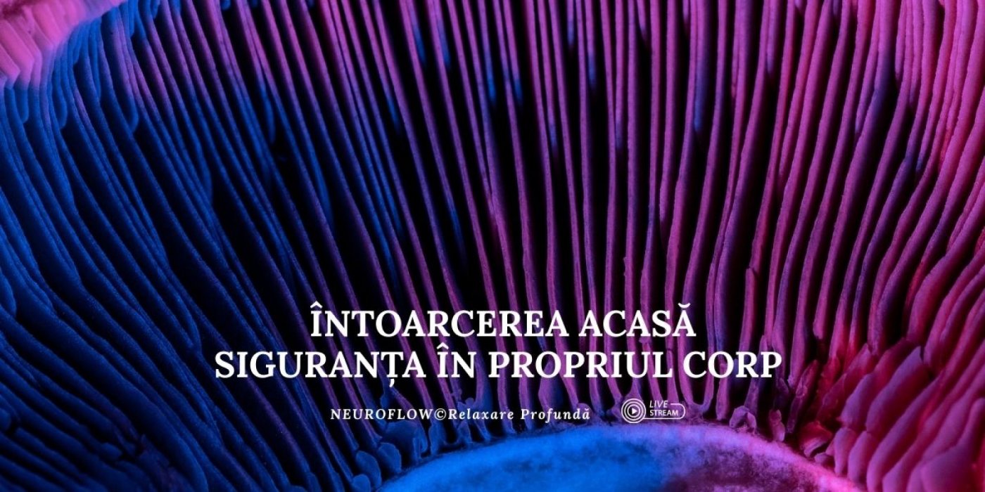 Întoarcerea Acasă: Siguranța În Propriul Corp (Neuroflow© Relaxare Profundă), 2 December | Event in Bucharest
