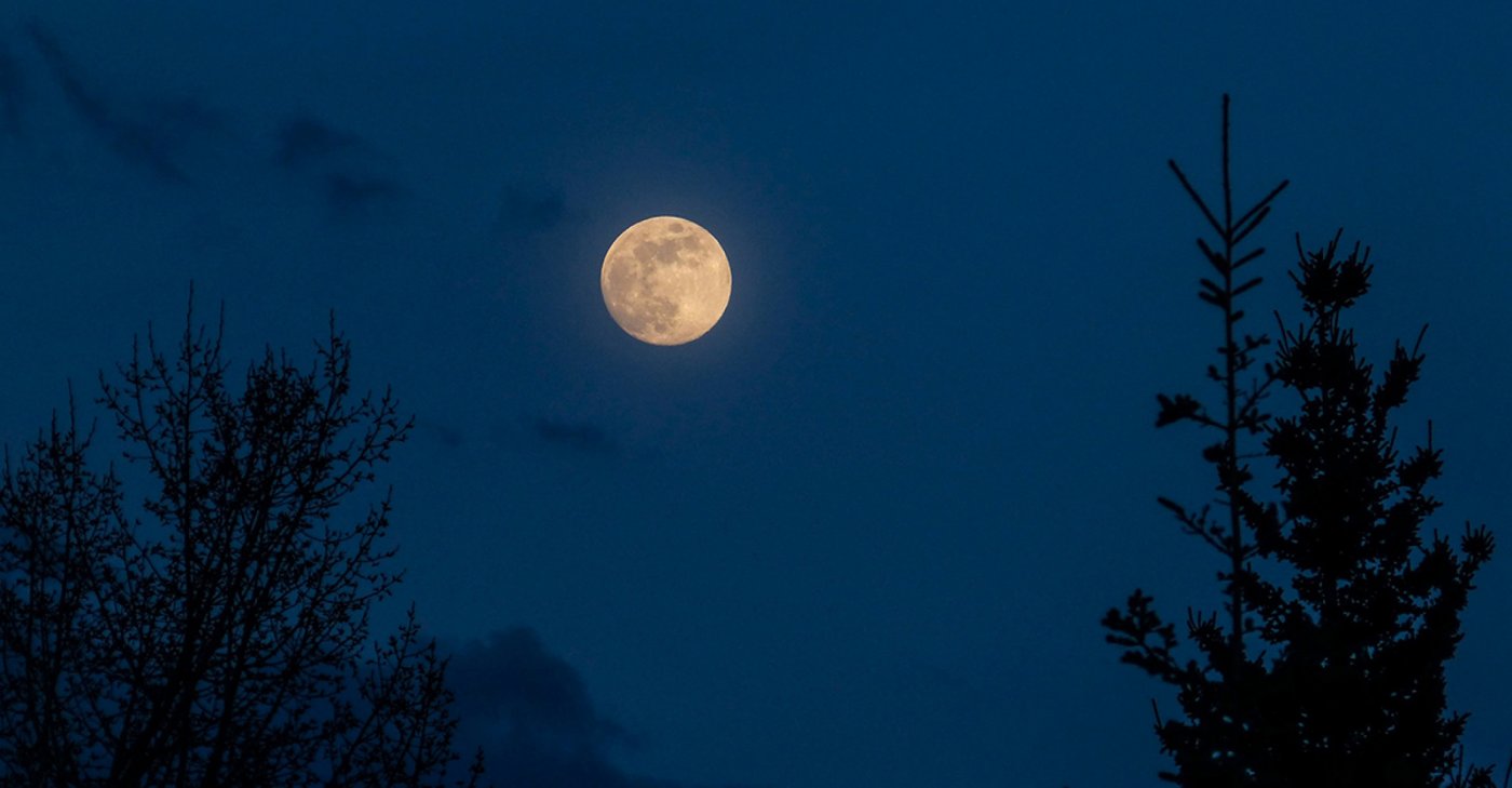 🌕 Pre Xmas Ψυχρή Πανσέληνος στην Πάρνηθα. , 6 December | AllEvents