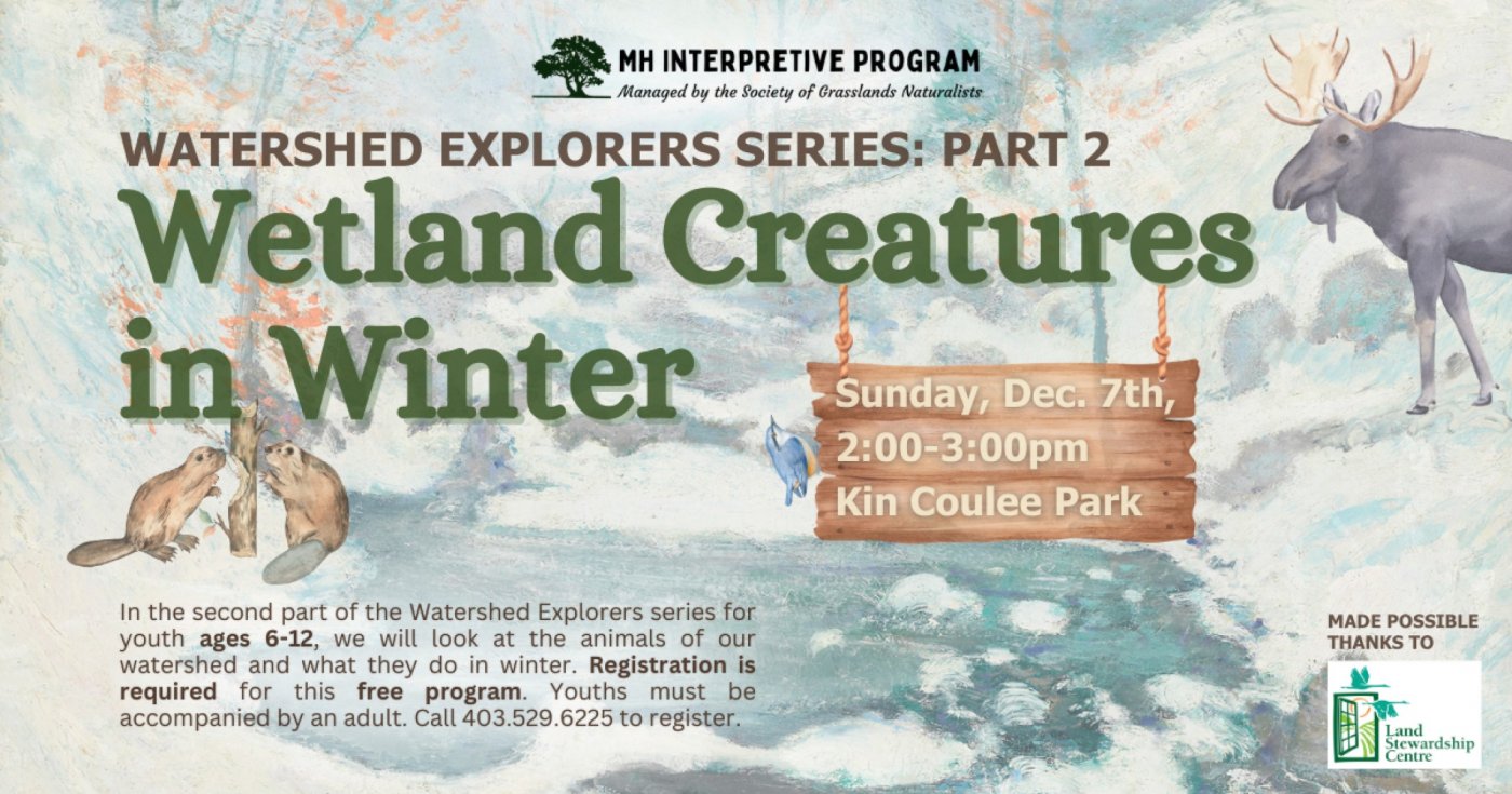 Wetland Creatures in Winter, 7 December | Event in Medicine Hat | AllEvents