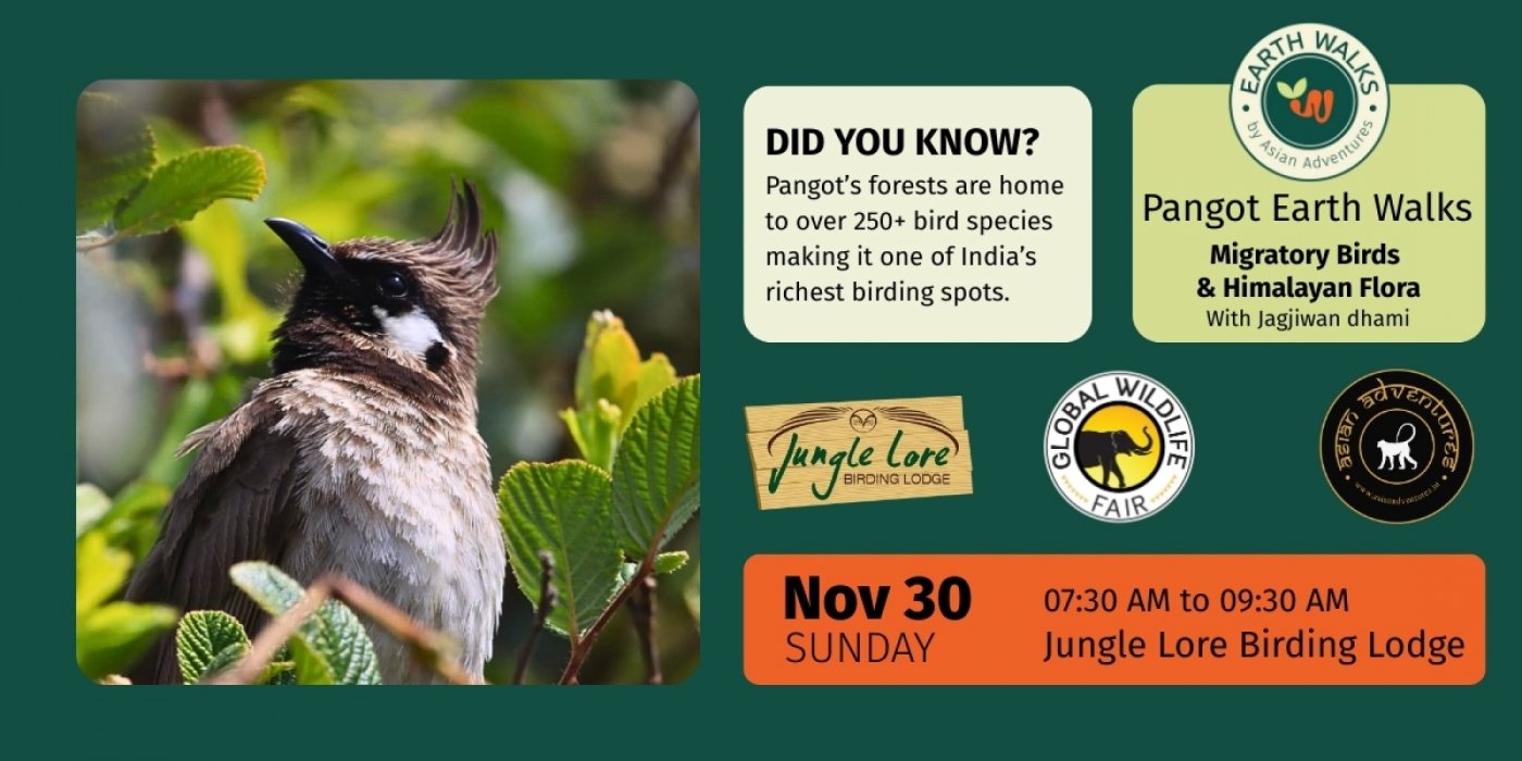 Migratory Birds & Himalayan Flora, Pangot, 30 November | Event in Naini Tal | AllEvents
