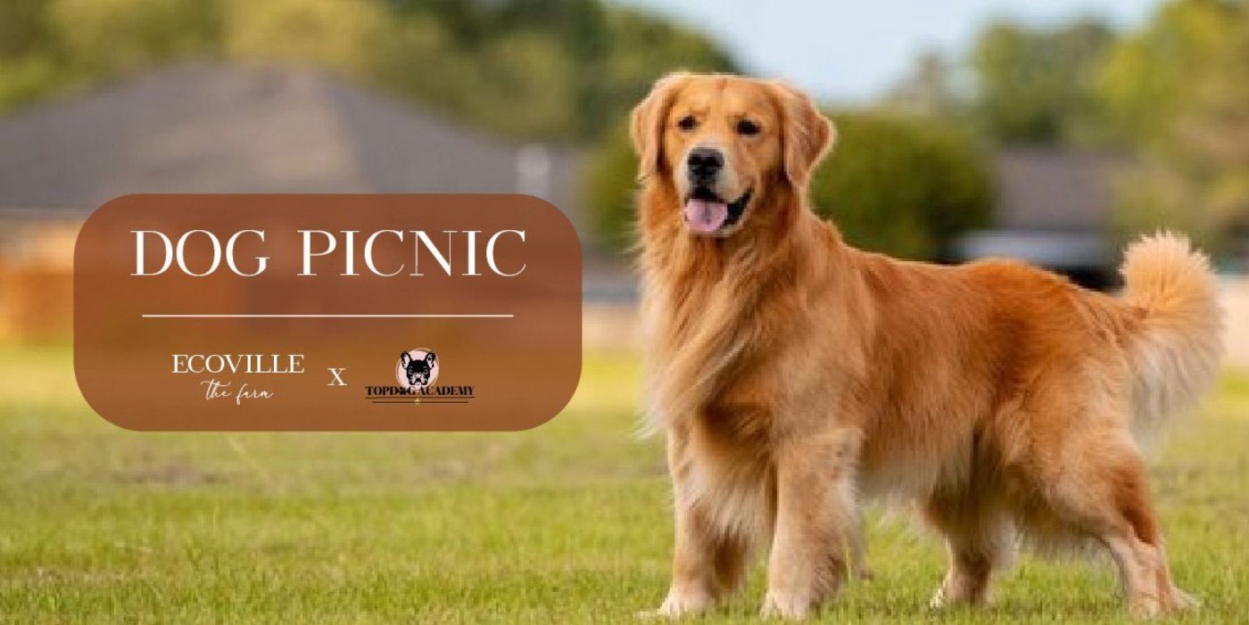 DOG PICNIC- A DAY OUT AT THE FARM WITH YOUR PET, 29 November | Event in Pune | AllEvents