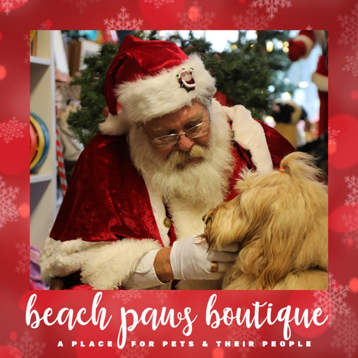 3rd Annual Pet Photos w/Santa Paws, 5 December | Event in Colonial Beach | AllEvents
