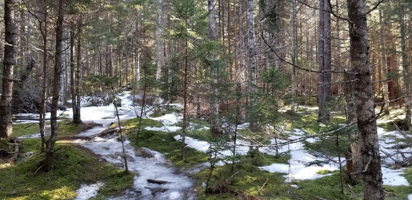 Shared Silence Gathering, 3 January | Event in Surry | AllEvents