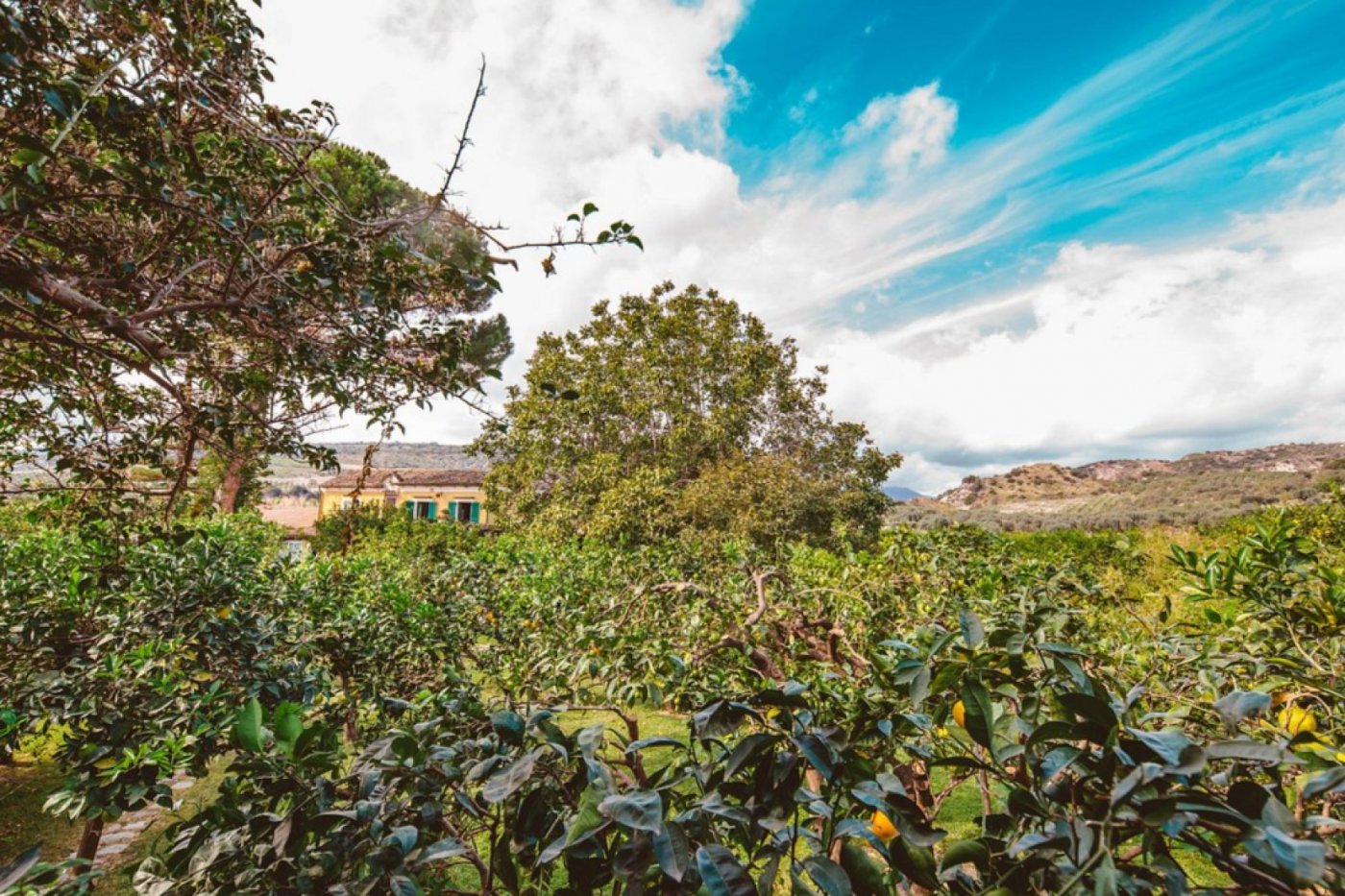 Awakening the Authentic Self: Acting Intensive with Howard Fine, 21 June | Event in Reggio di Calabria | AllEvents