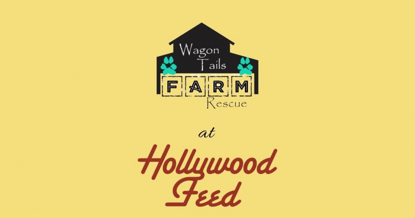 Adoption Event at Holluwood Feed, 13 December | Event in Wilmington | AllEvents